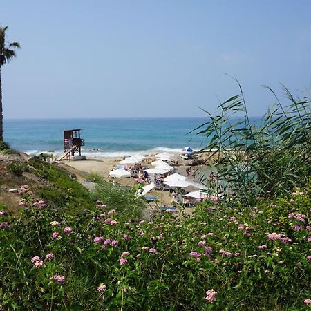 Limnaria Gardens Paphos, Near Beach 외부 사진