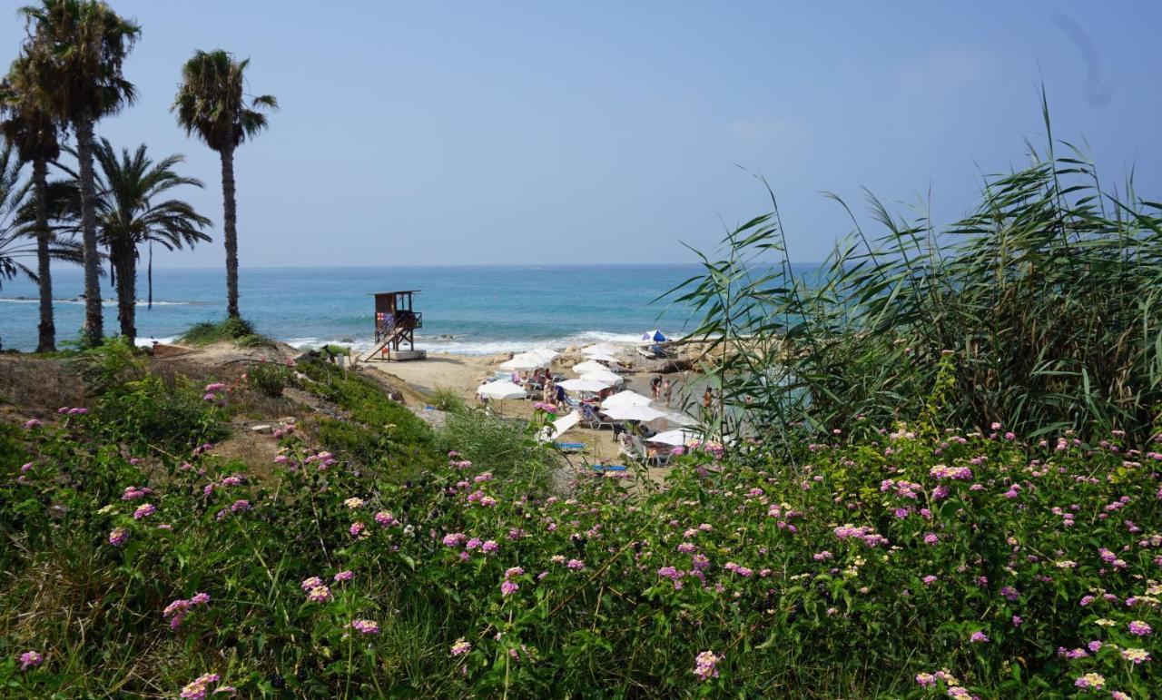 Limnaria Gardens Paphos, Near Beach 외부 사진